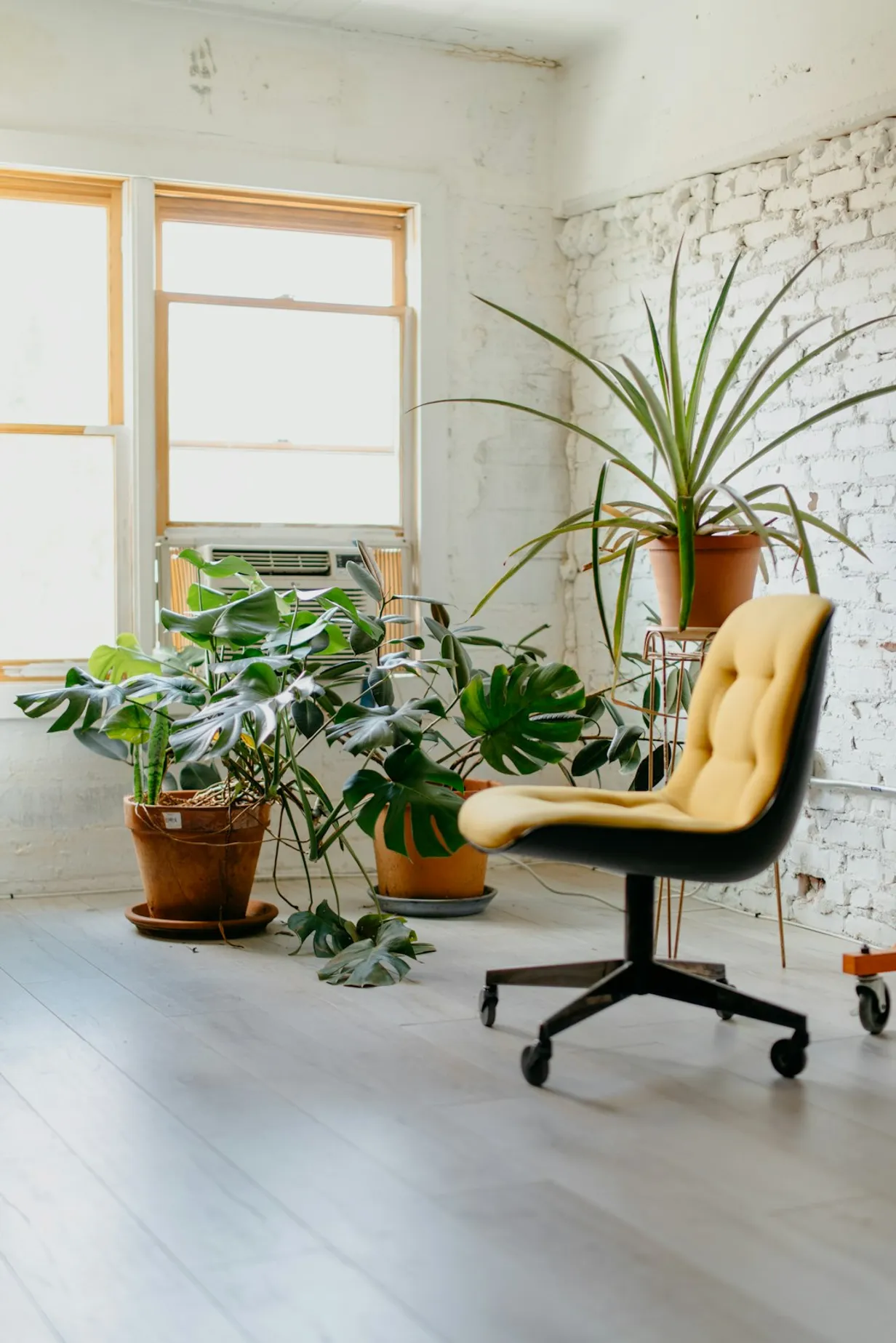 Creating a Biophilic Office Space: The Ultimate GuideIllustration